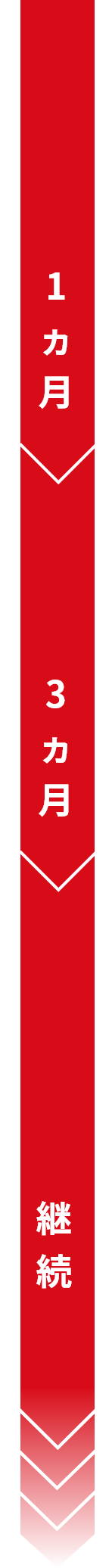 1カ月・3カ月・継続の流れ
